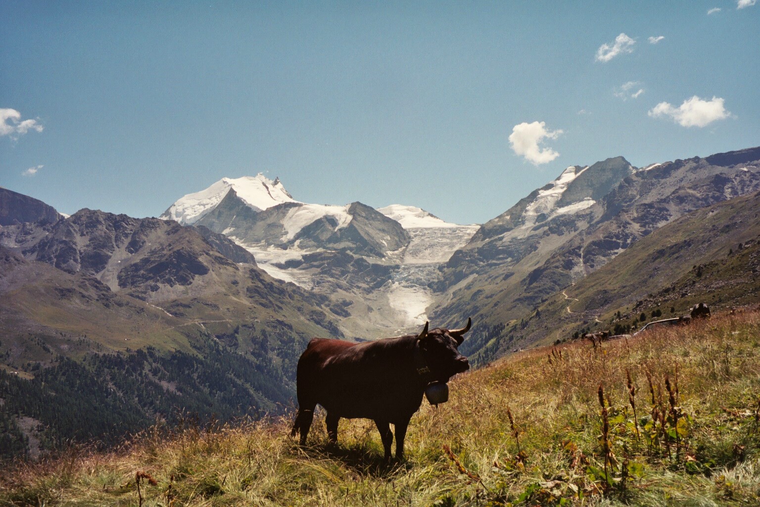 meinebilder0021.jpg